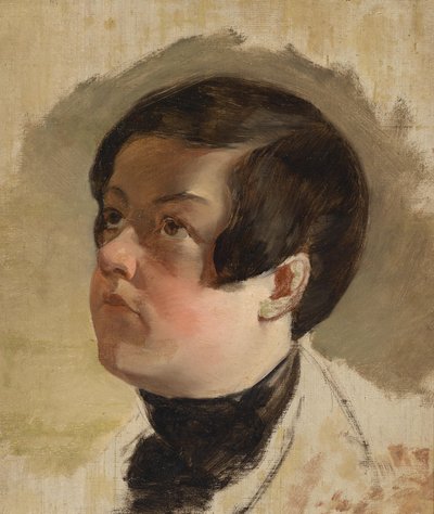 Study of a Boy